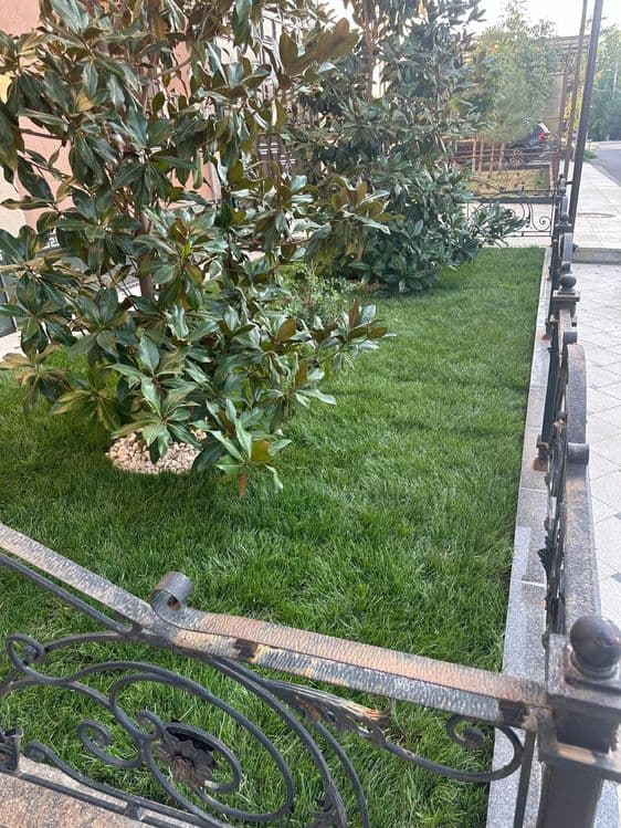 Газон таййор рулон полив установка — 3