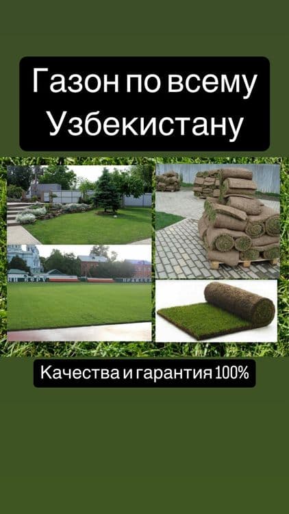 Качественый~зеленый посевной и рулоный газон — 1