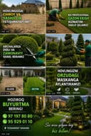 Eng alo sifatlisini sizga taklif qilamiz