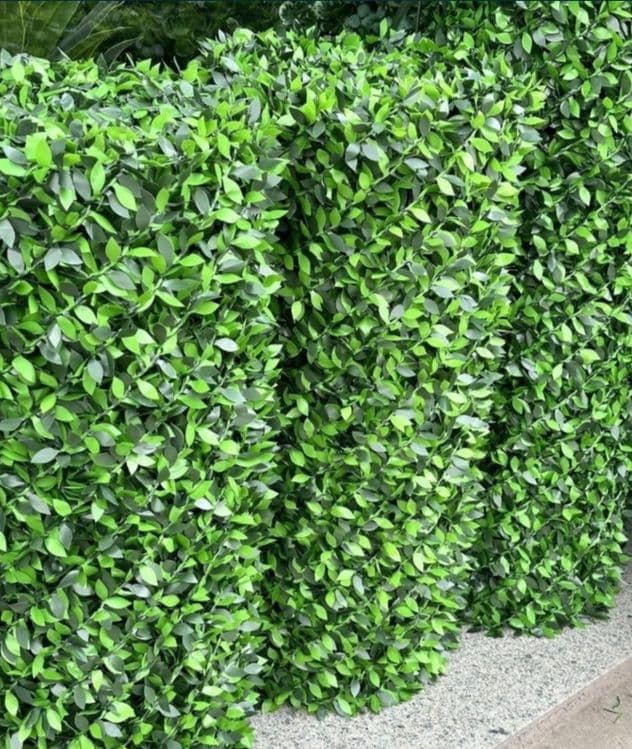 Suniy gazon VA eco zabor — 3