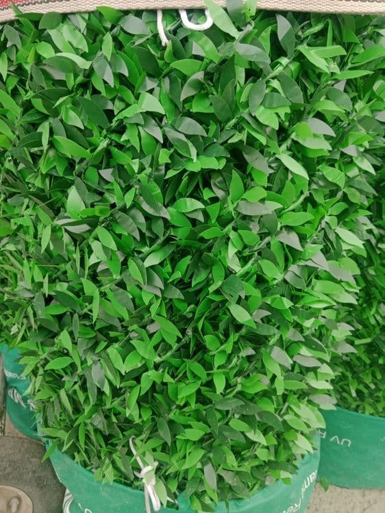 Suniy gazon VA eco zabor — 3