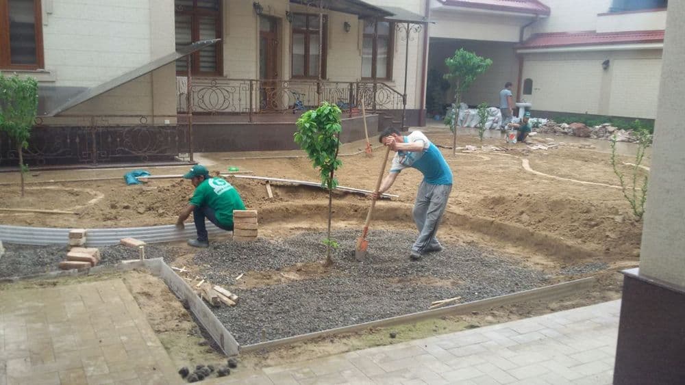 Хамёнбоп нархда газон экиш,полив — 2