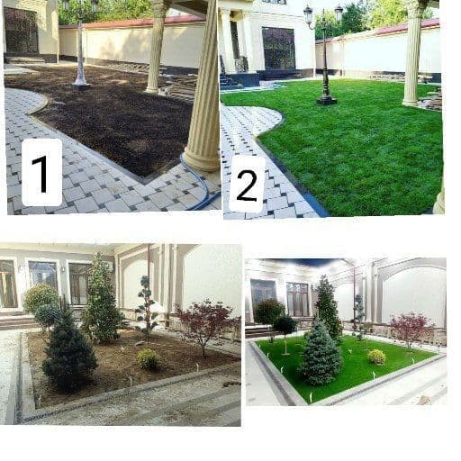Gazon ekish xizmati — 3