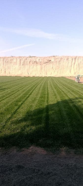 Газон ланшафни дизайн самарканд — 8