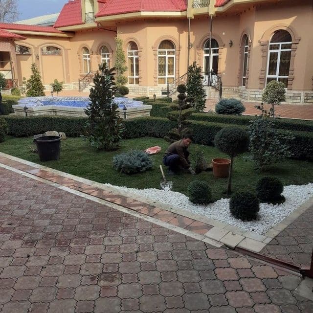 Gazon ekish tayor gazon bosish archa kesish va archa dorilash — 5