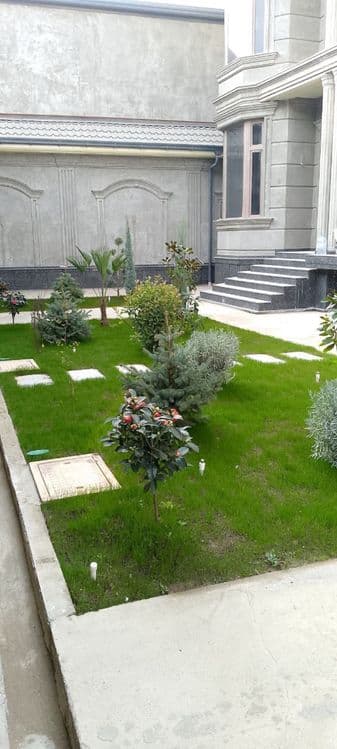 Gazon landshaf dizayin xizmati — 12