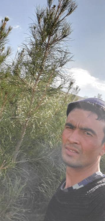 Sasna ko‘chatlari sotiladi — 3