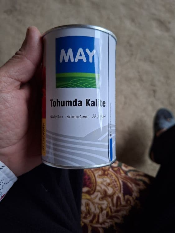 Памидор кучат сот — 8