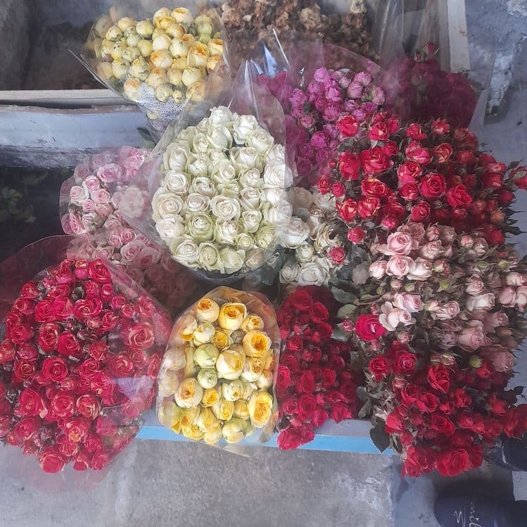 Har xil turdagi atirgul ko‘chatlari bor — 5