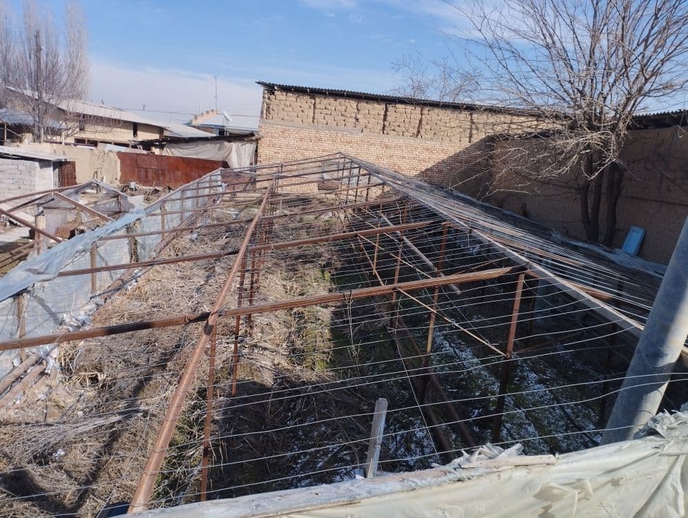 Teplitsa issiqxona — 1