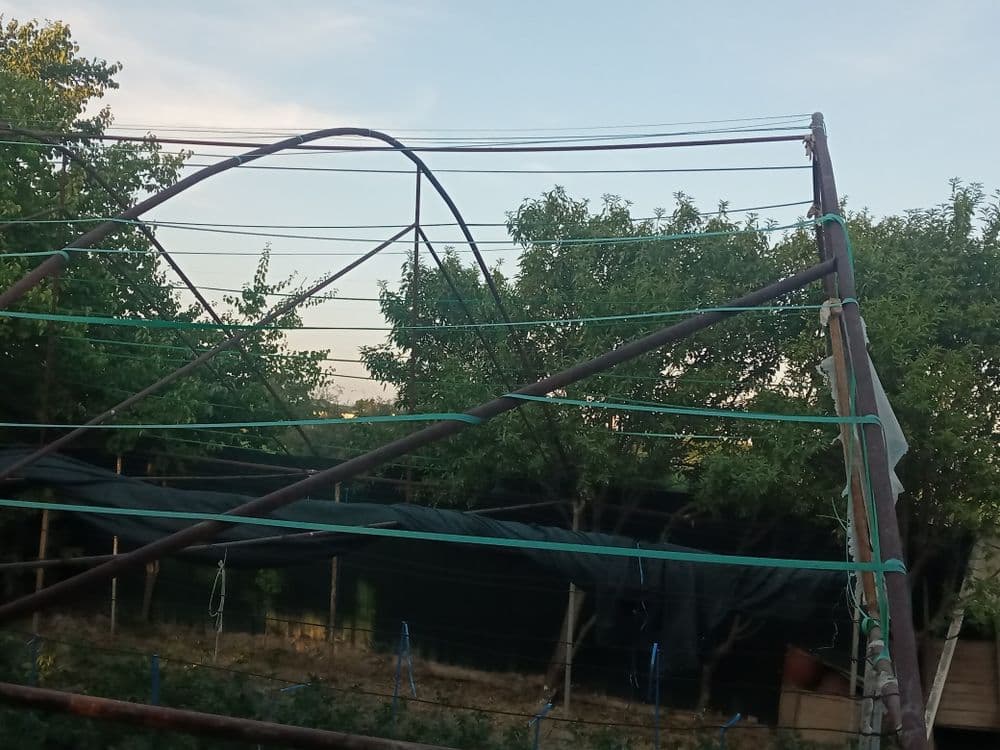 Parnik sotiladi Kogon Tumani — 1