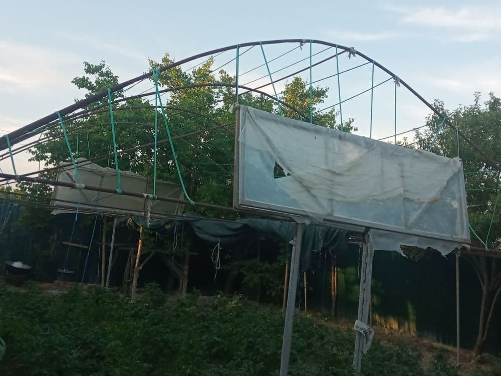 Parnik sotiladi Kogon Tumani — 3