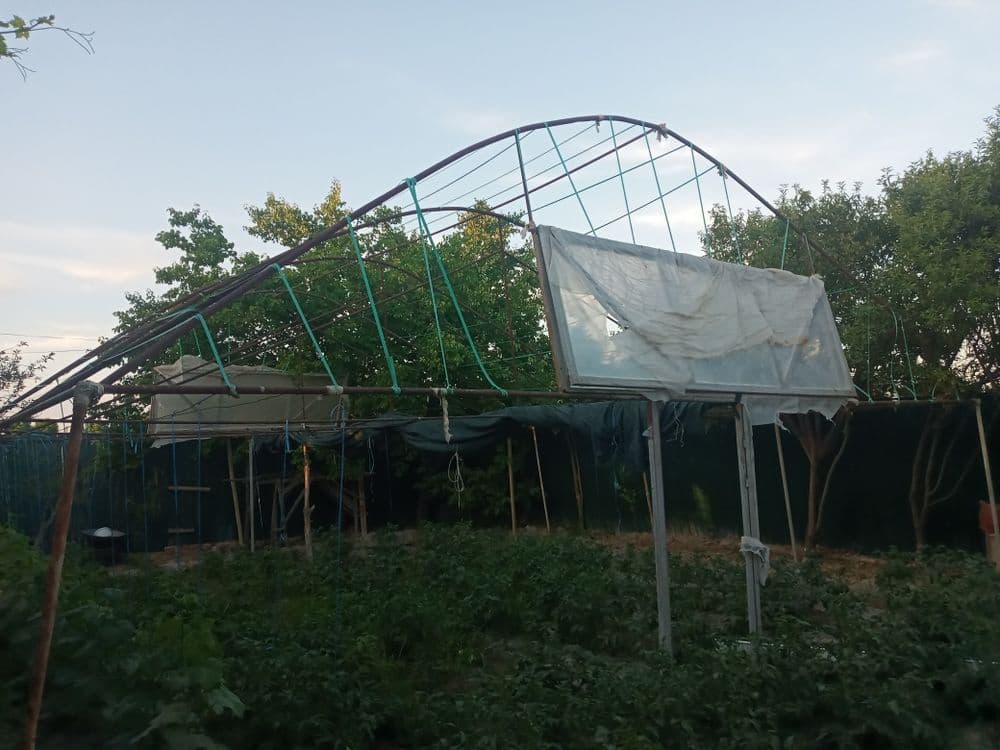 Parnik sotiladi Kogon Tumani — 5