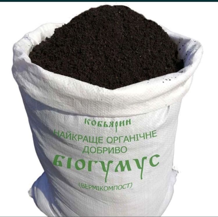 Биогумус торф сотилади — 2