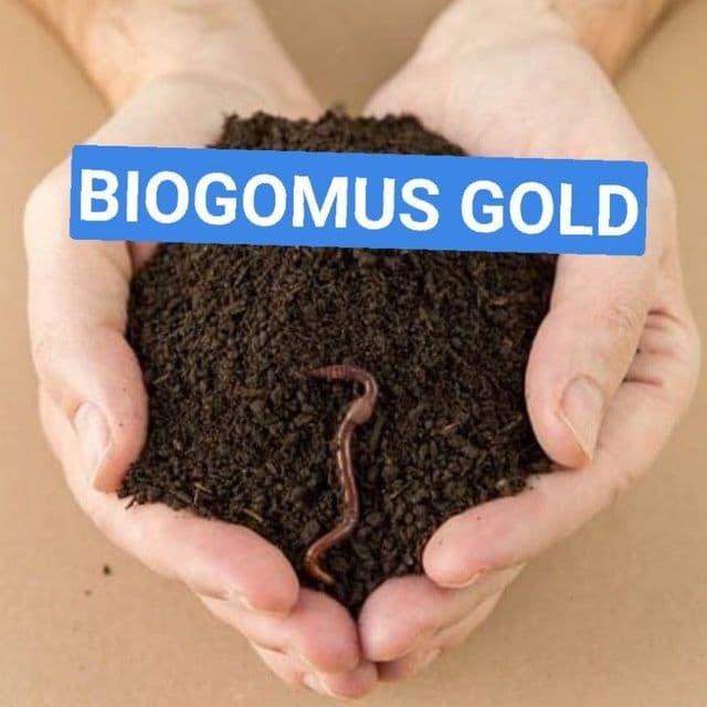 Biogumus/ bor bir qopi 35 ming sum — 1