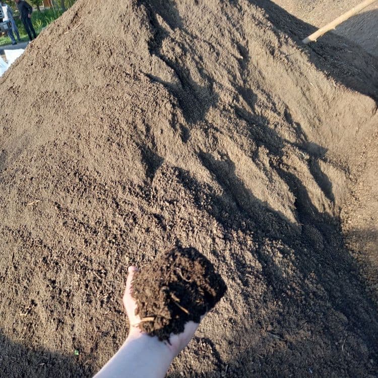 Biogomus gulchlik — 7