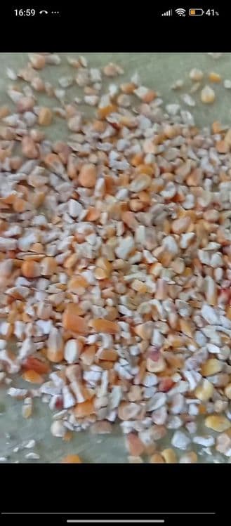 Johori drabilka qilingan makka drabilka жохори оптом  дробилка  150тон — 1
