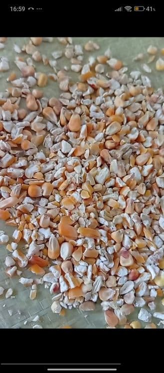 Johori drabilka qilingan makka drabilka жохори оптом  дробилка  150тон — 2