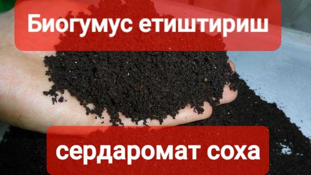 Биогомус  1300 сум — 1