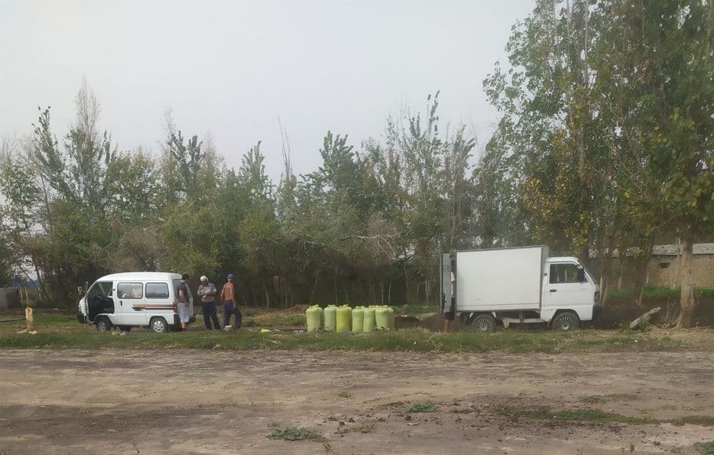 Biogomus barcha koʻchatlar uchun bor yetkazib beramiz — 8