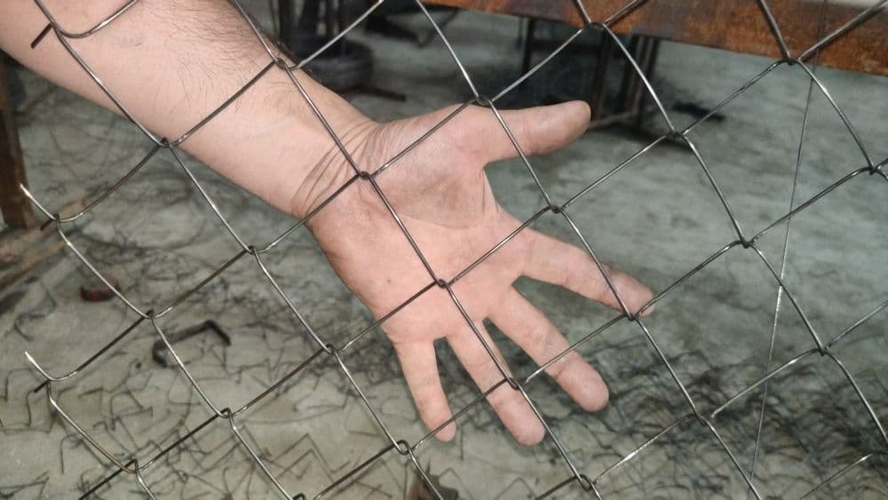 СЕТКА РАБИЦА ЦЕХ для ограждения забор сад огород поля Сим Сетка setka — 5