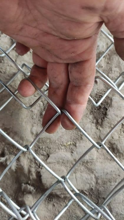 Сетка цех, сим сетка, Ограждения Огород поле — 3