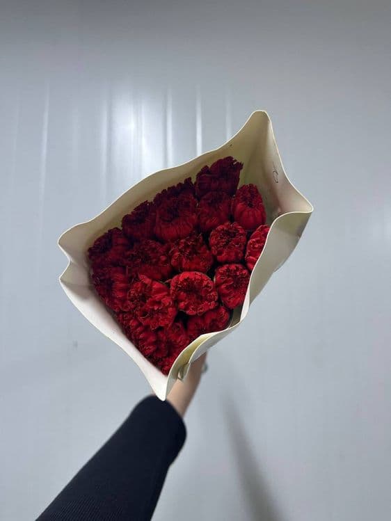 Гвоздика в наличии — 7
