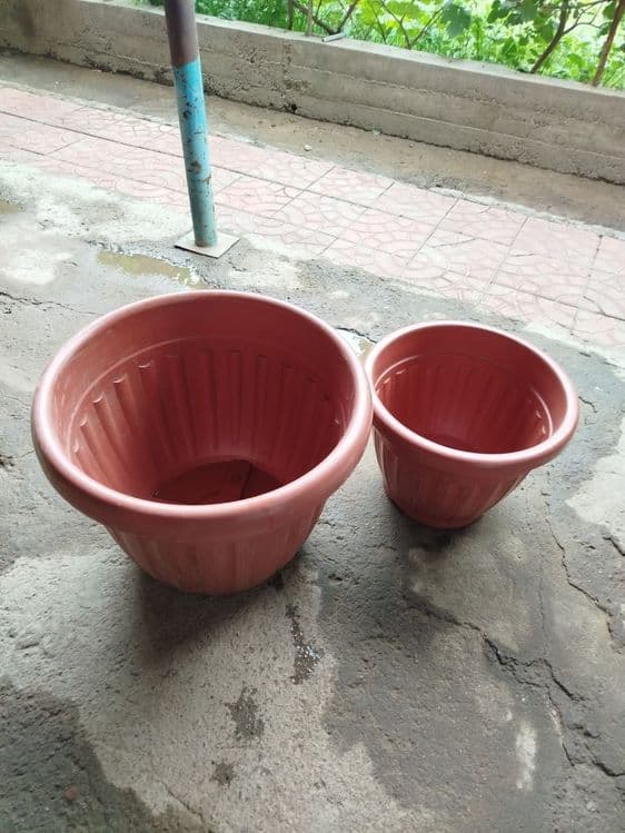 Gul tuvaklar sotiladi ideal xolatda 80 ta bor — 2