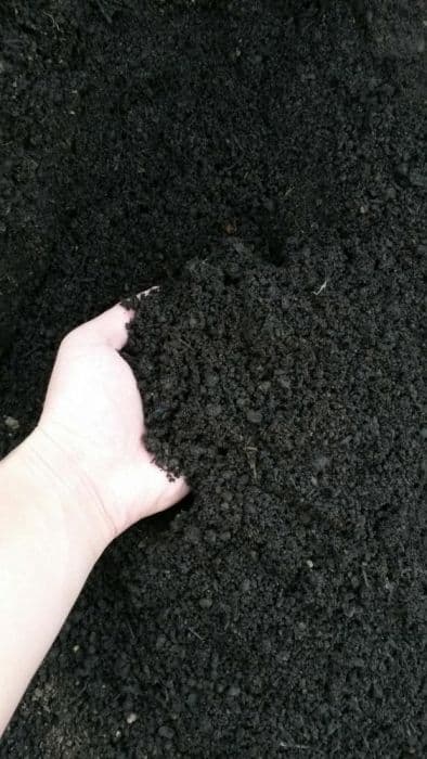 Биогумус,100% натуральное удобрение в — 2