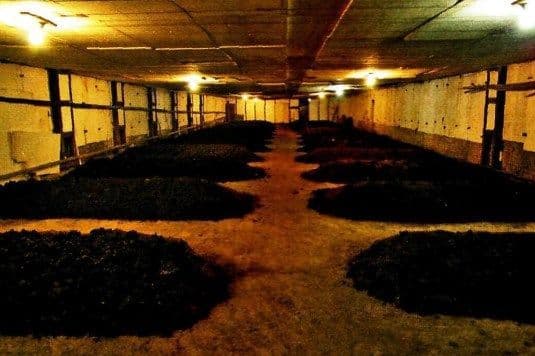 Биогумус,100% натуральное удобрение в — 5