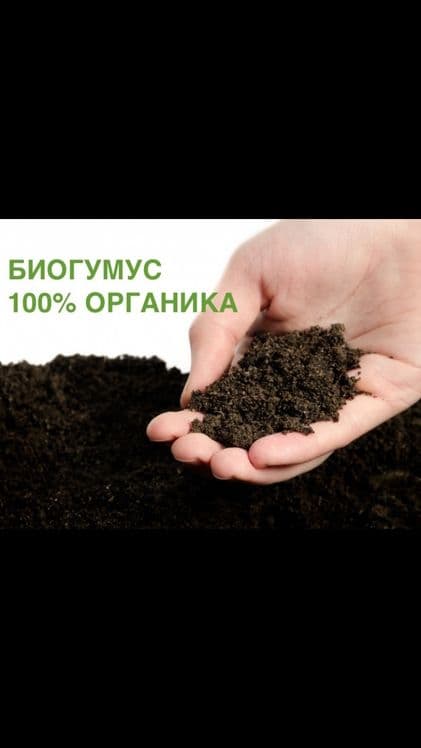 Удобрение для вашего сада(Биогумус) — 5