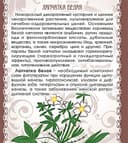 Лапчатка белая (корни) и (настойка)