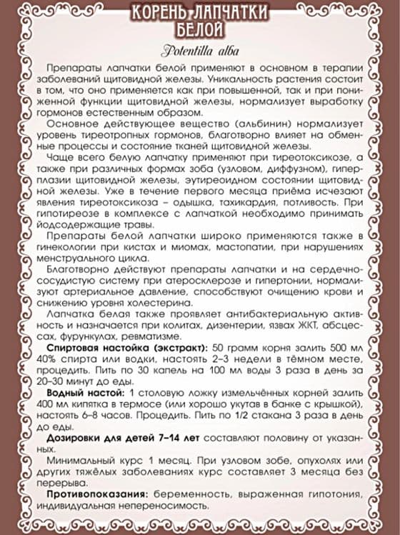 Лапчатка белая (корни) и (настойка) — 2