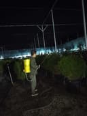 Дорилаш сифатли Агроном хизмати