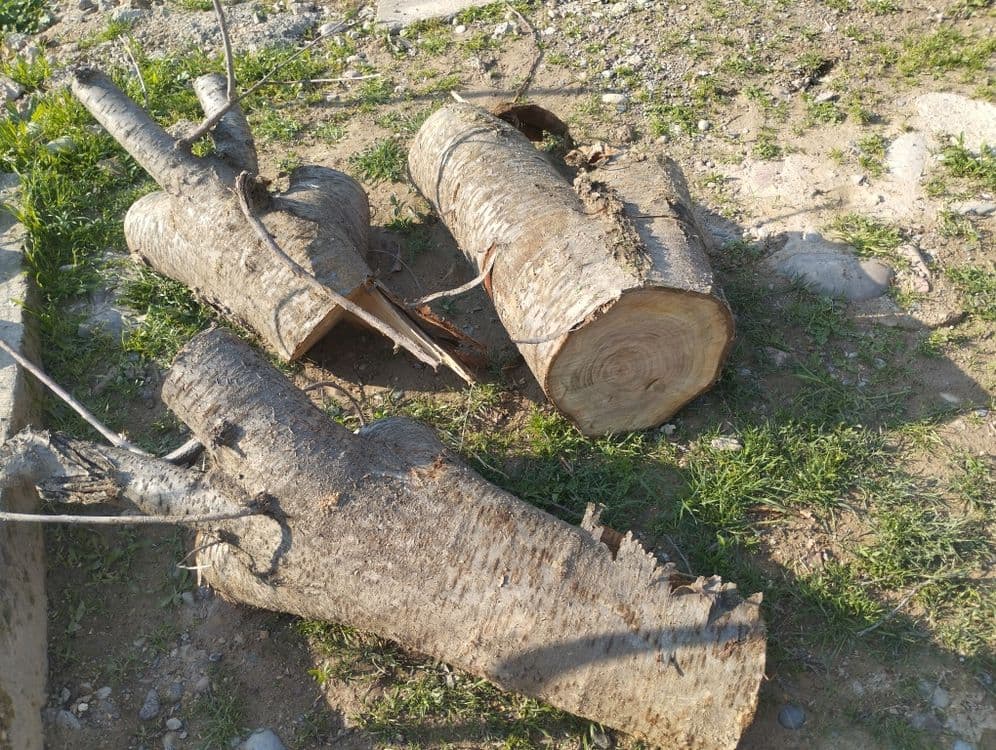 Продаю Дрова мевали — 6