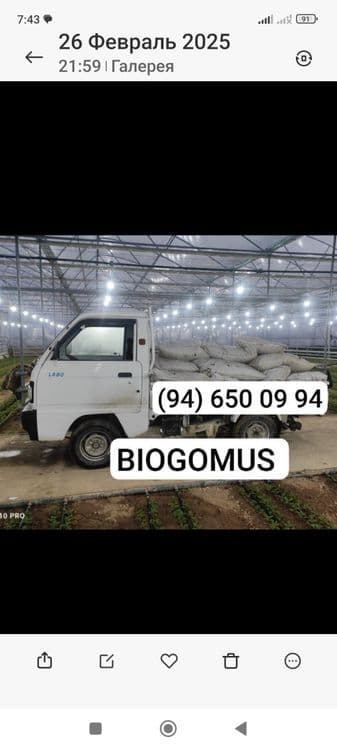 ЧУАЛЧАНГ, БИОГОМУС 500 су́м 1 кв — 3
