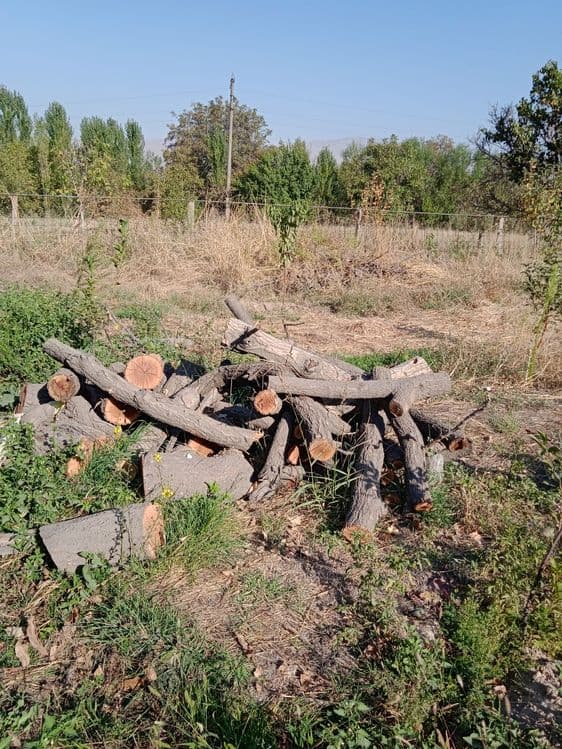 Утин бор сотилади — 16