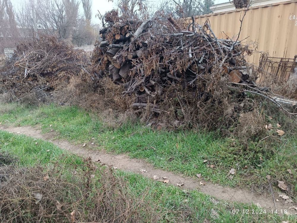 Утин (Дрова, Oʻtin) сотамиз, мевали дарахтларники. — 5