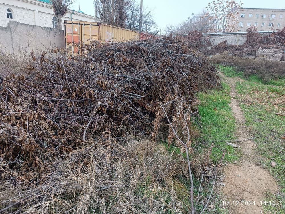 Утин (Дрова, Oʻtin) сотамиз, мевали дарахтларники. — 8