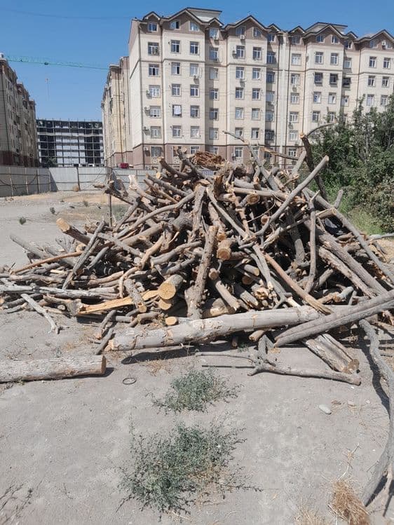 Дрова Фруктовых деревьев — 3