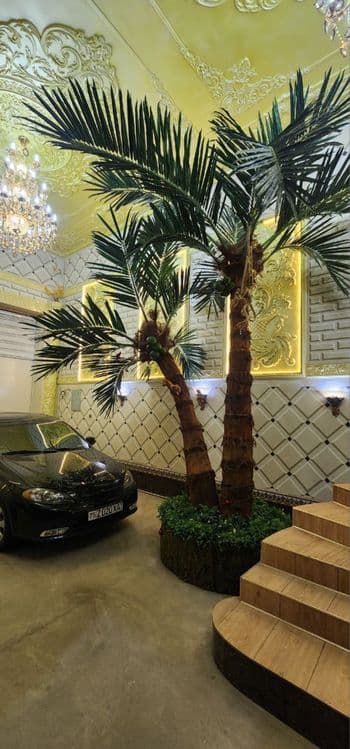 Toshkent | Premium sun’iy palma 3m–8m — tabiiydan farqi yo‘q! -30% — 3