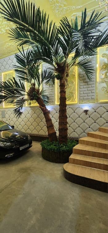 Toshkent | Premium sun’iy palma 3m–8m — tabiiydan farqi yo‘q! -30% — 4