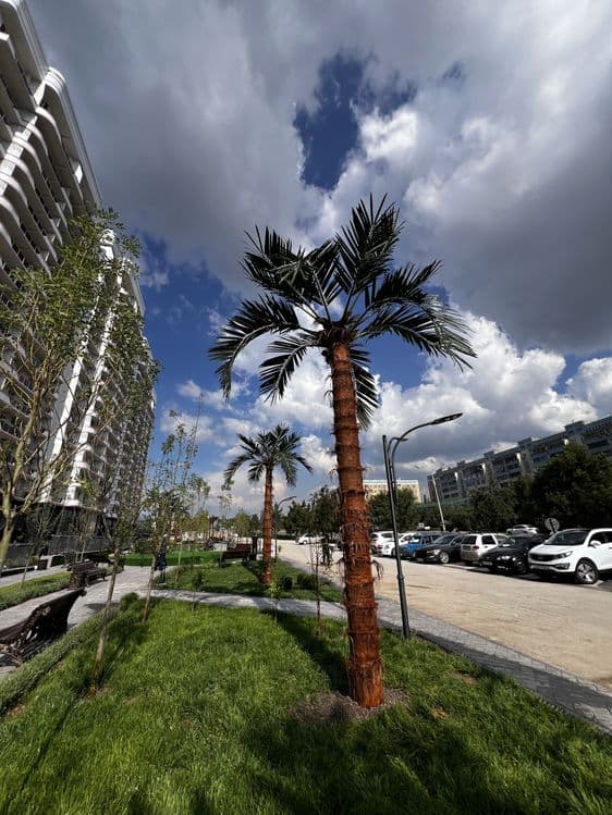 Декоративные пальмы palma — для дома, дача ,кафе — 2