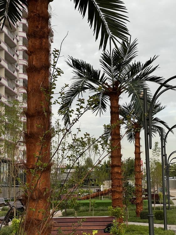 Декоративные пальмы palma — для дома, дача ,кафе — 3