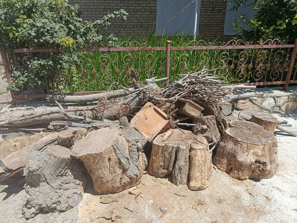 Ўтин, кунда, тарашалар сотилади — 5