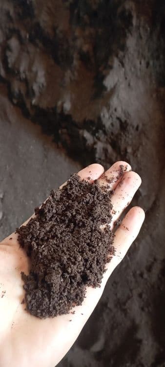 03 setkada elangan sifatli Biogumus sotiladi — 1