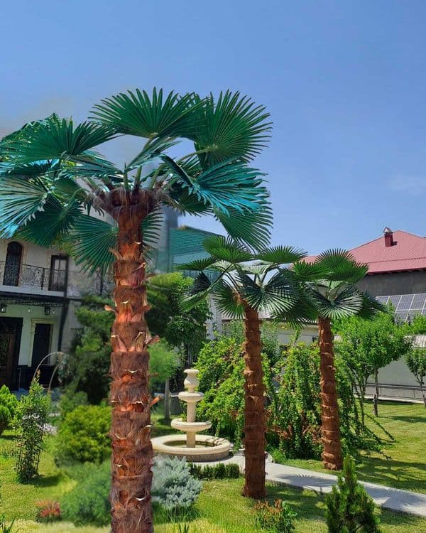 Jizzax Suniiy Eco Palma 3m-8m   tabiiydan farqi yoq -20% chegirma — 1