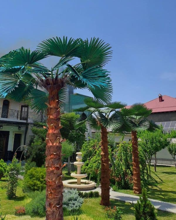 Sun'iy eko palmalar | bepul dizayn loyihasi | 30% chegirma — 1