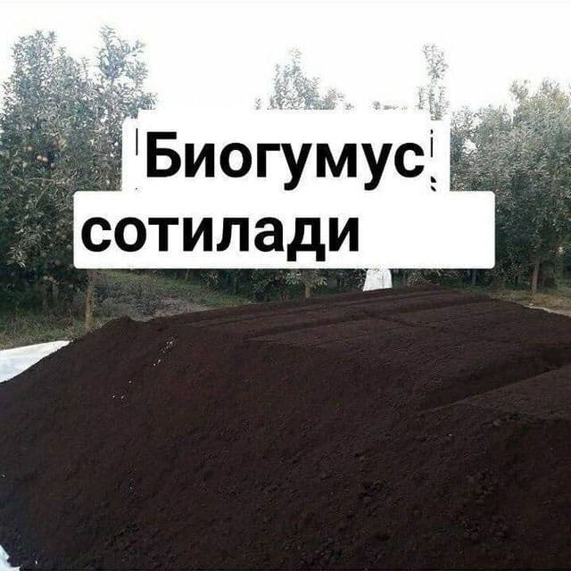 Биогумус сотилади — 9