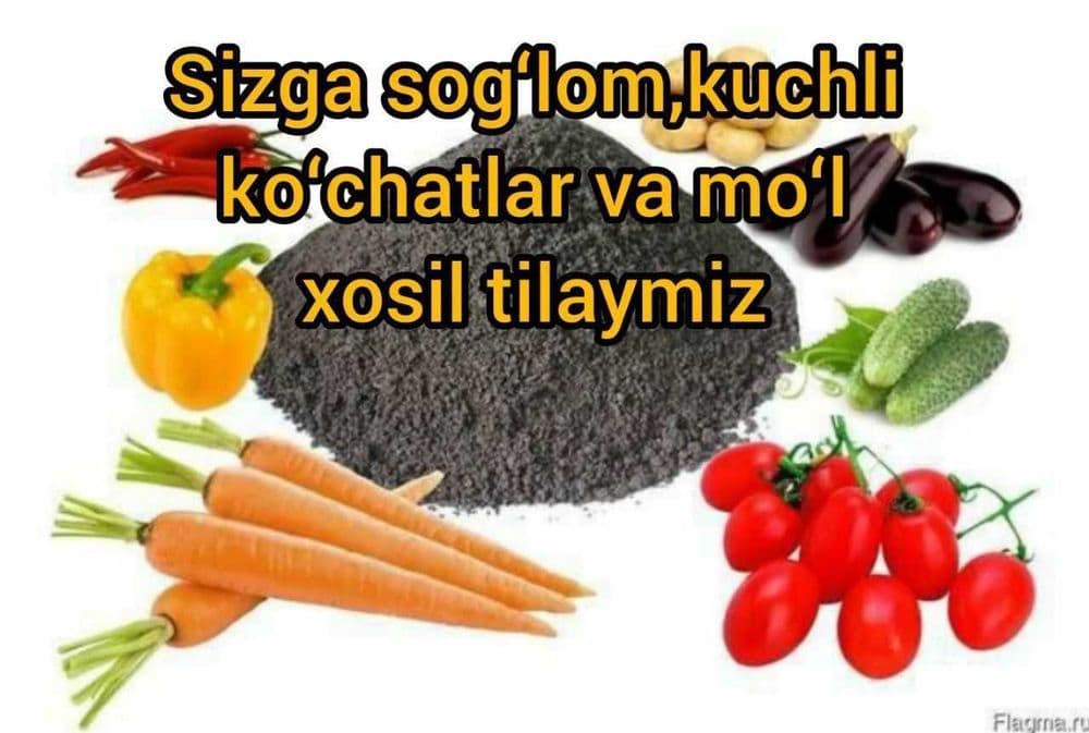Biogumus Sifatli Ishonchli — 8